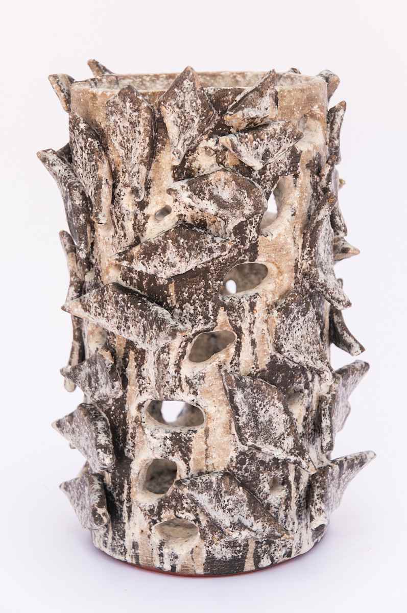 Fern Vessel IX by BEN MEDANSKY, Image 1.