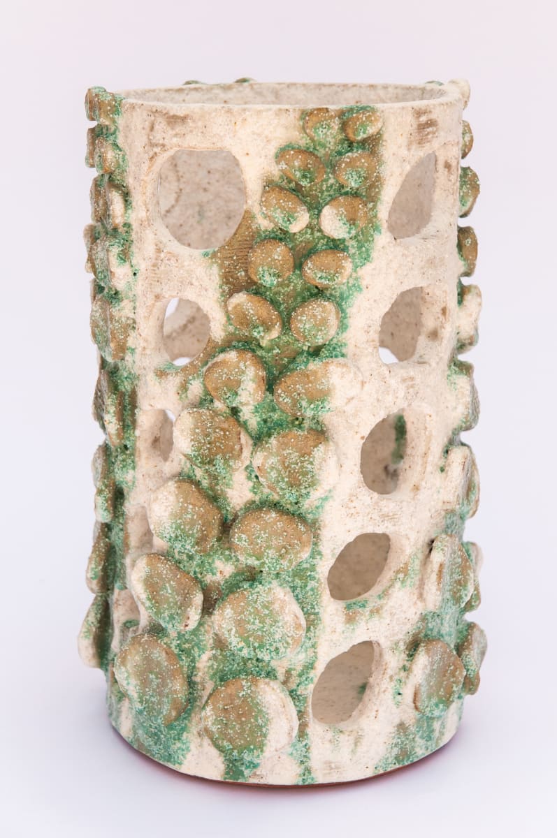 Fern Vessel X by BEN MEDANSKY 
