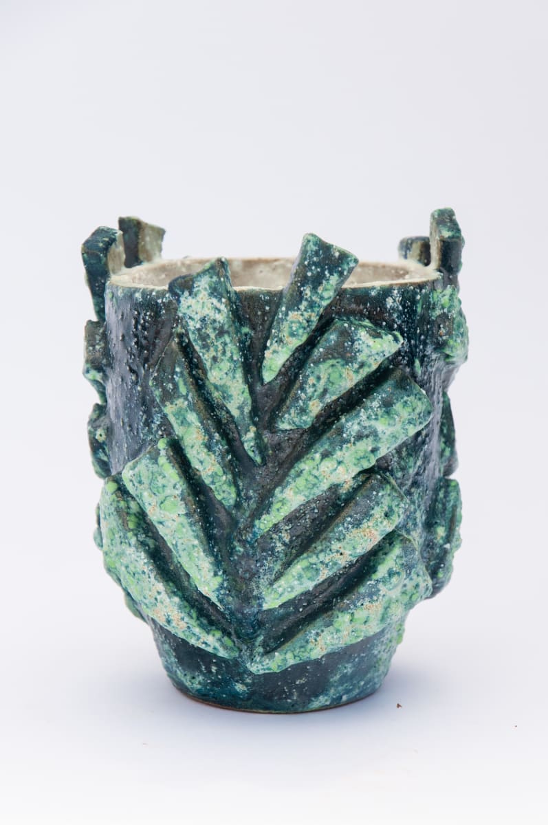 Fern Vessel V by BEN MEDANSKY 