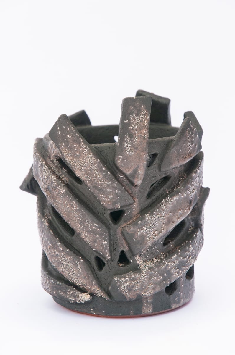 Fern Vessel XIII by BEN MEDANSKY 