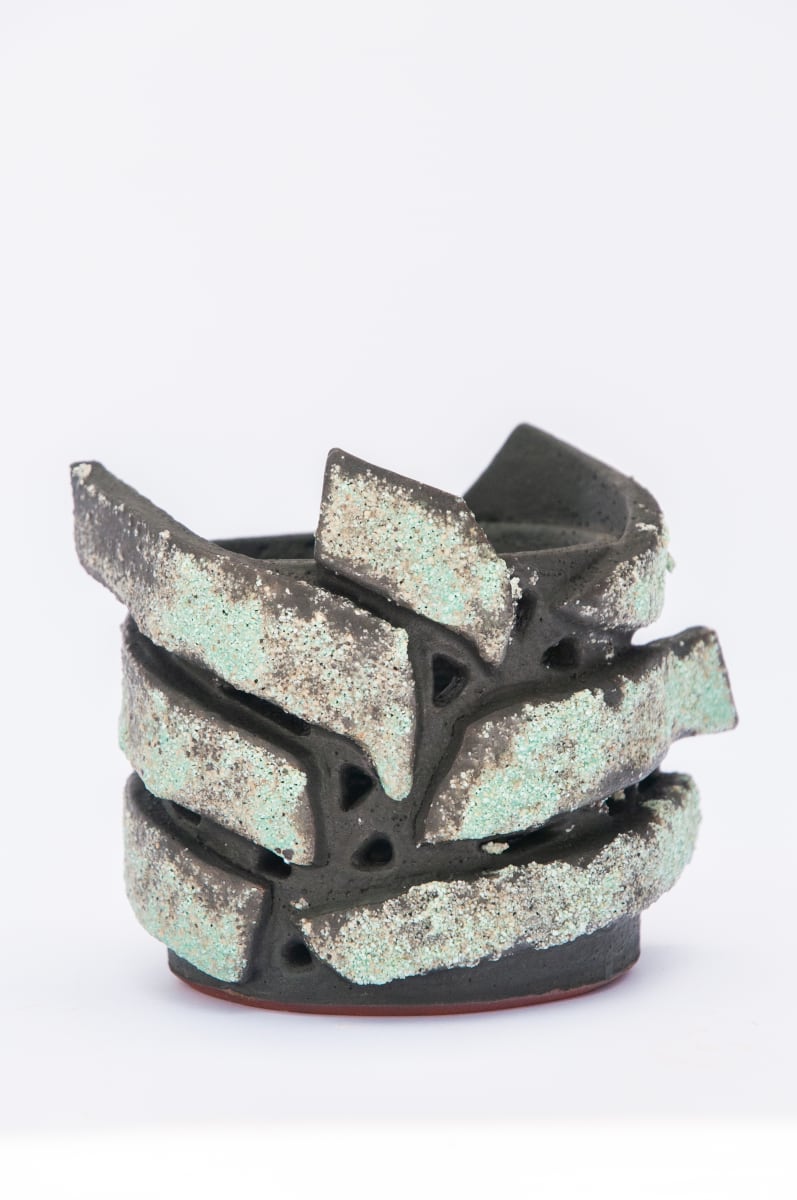 Fern Vessel XIV by BEN MEDANSKY 