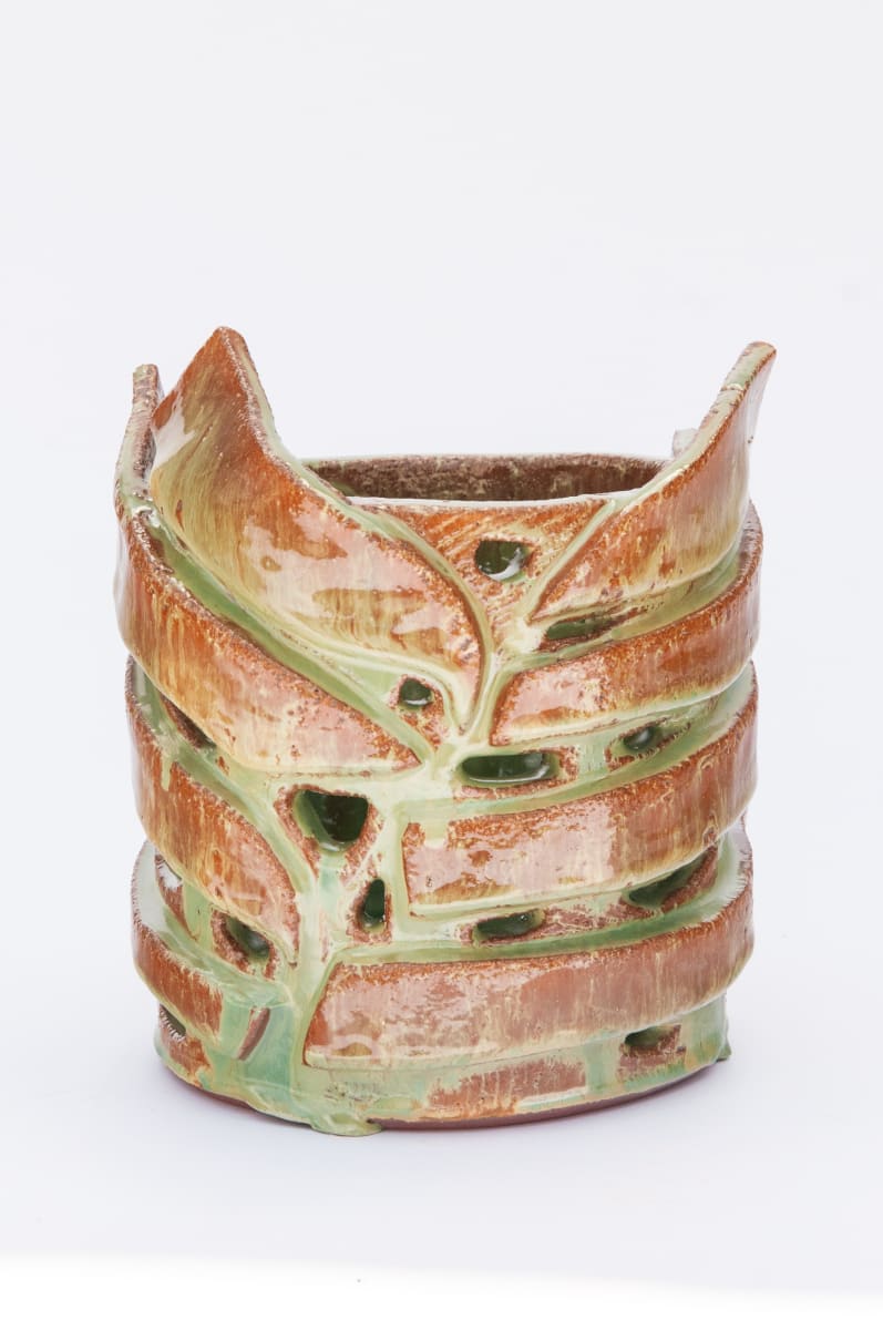 Fern Vessel XV by BEN MEDANSKY 