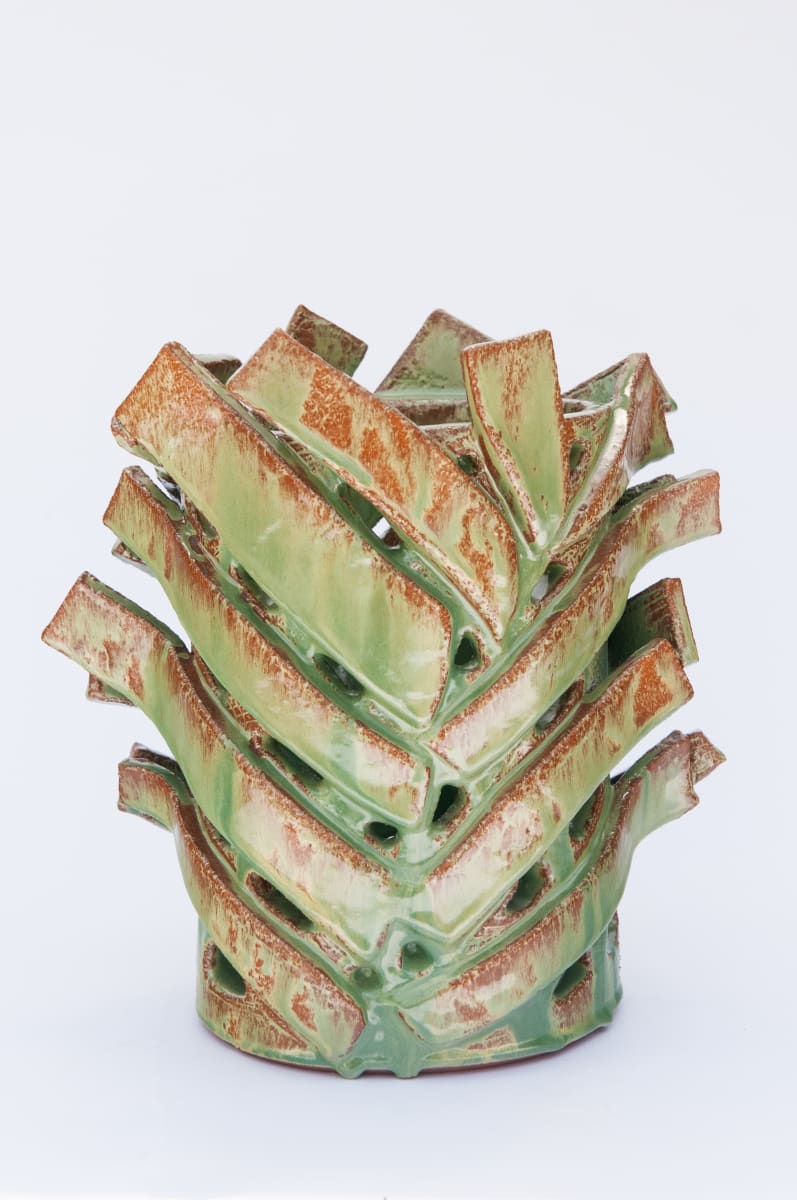 Fern Vessel XVI by BEN MEDANSKY 