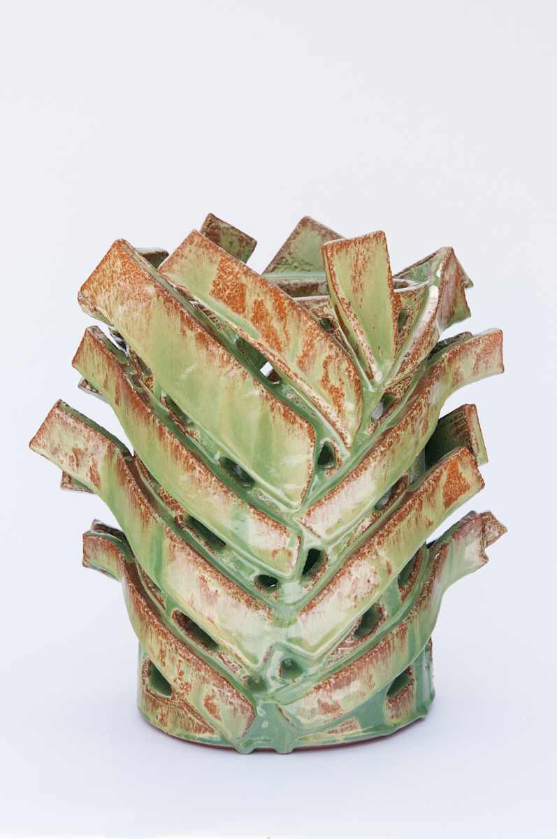 Fern Vessel XVI by BEN MEDANSKY, Image 2.