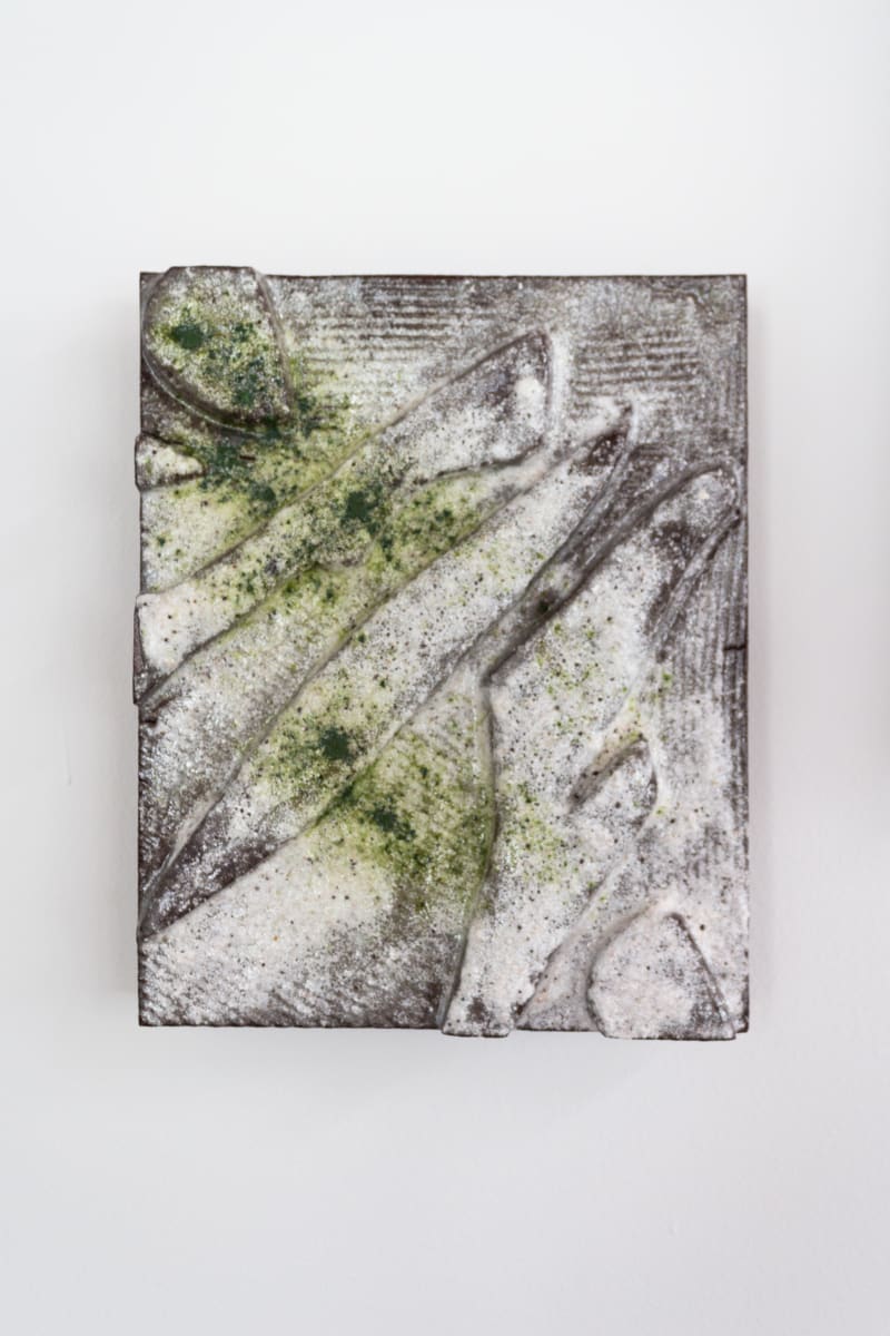 Leaves and Sticks in My Yard by BEN MEDANSKY 