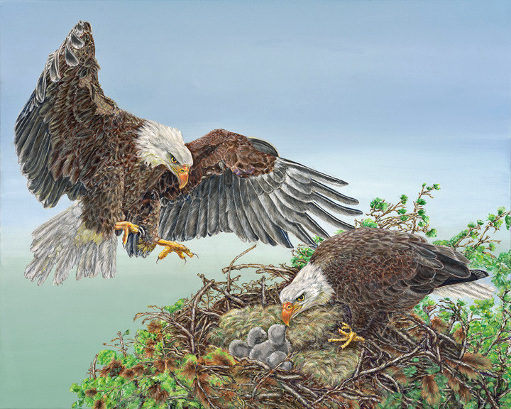 4th Place - Dr. Ann Lindahl - " Quadriptych Panel 4 - Mating Ritual 4 - Later, Eaglets in Nest" - https://squareup.com/store/ann-lindahl-studio by Ann Lindahl 