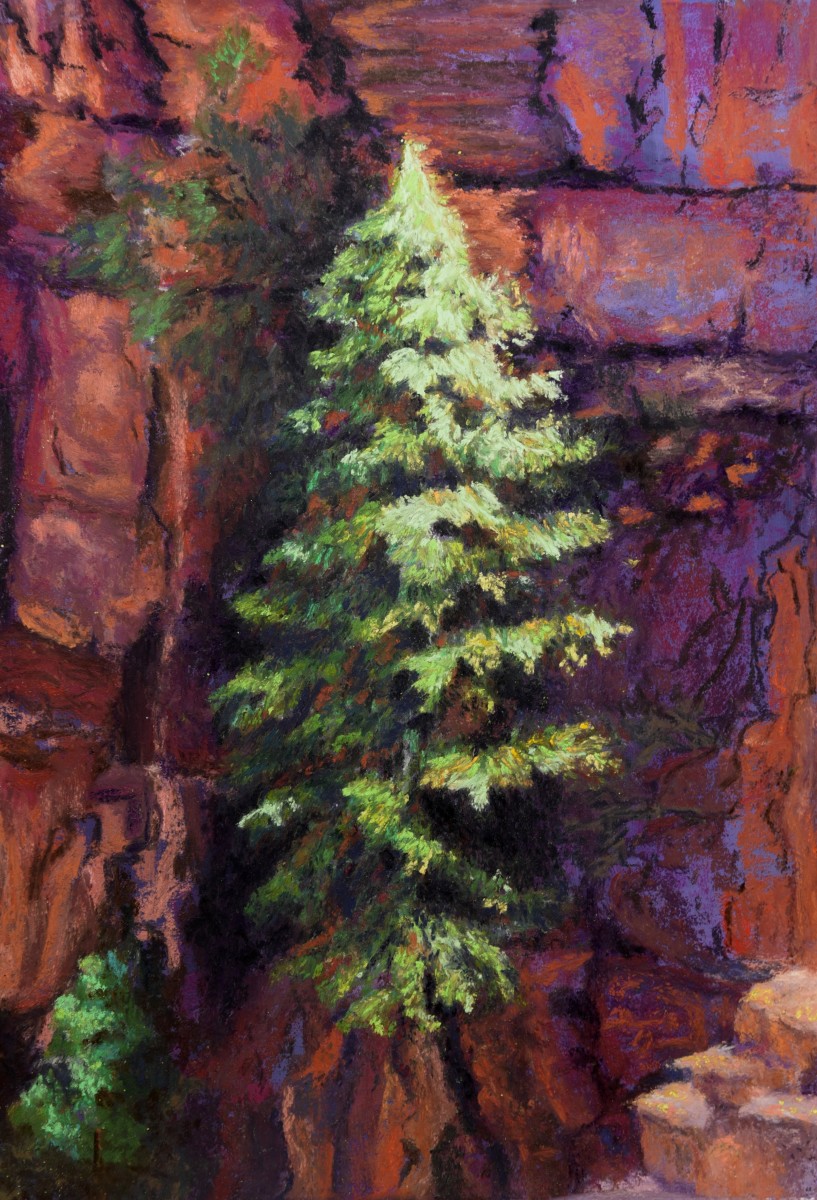 North Rim Kabob Trail by Susan  Frances Johnson 