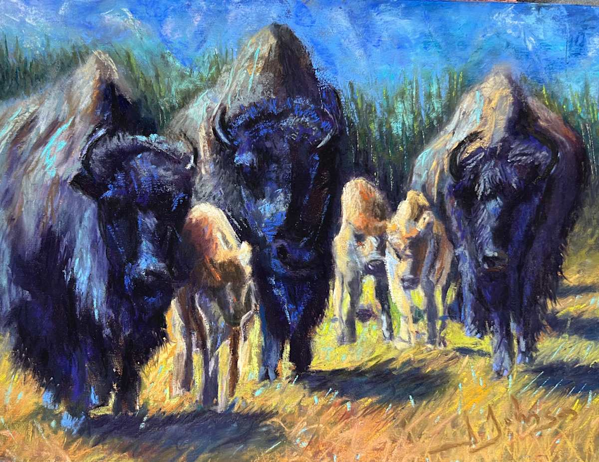 Generations, Bison of Yellowstone National Park by Susan  Frances Johnson 