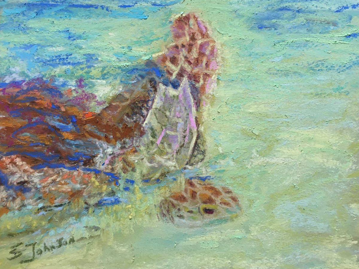 Sea Turtle by Susan  Frances Johnson 