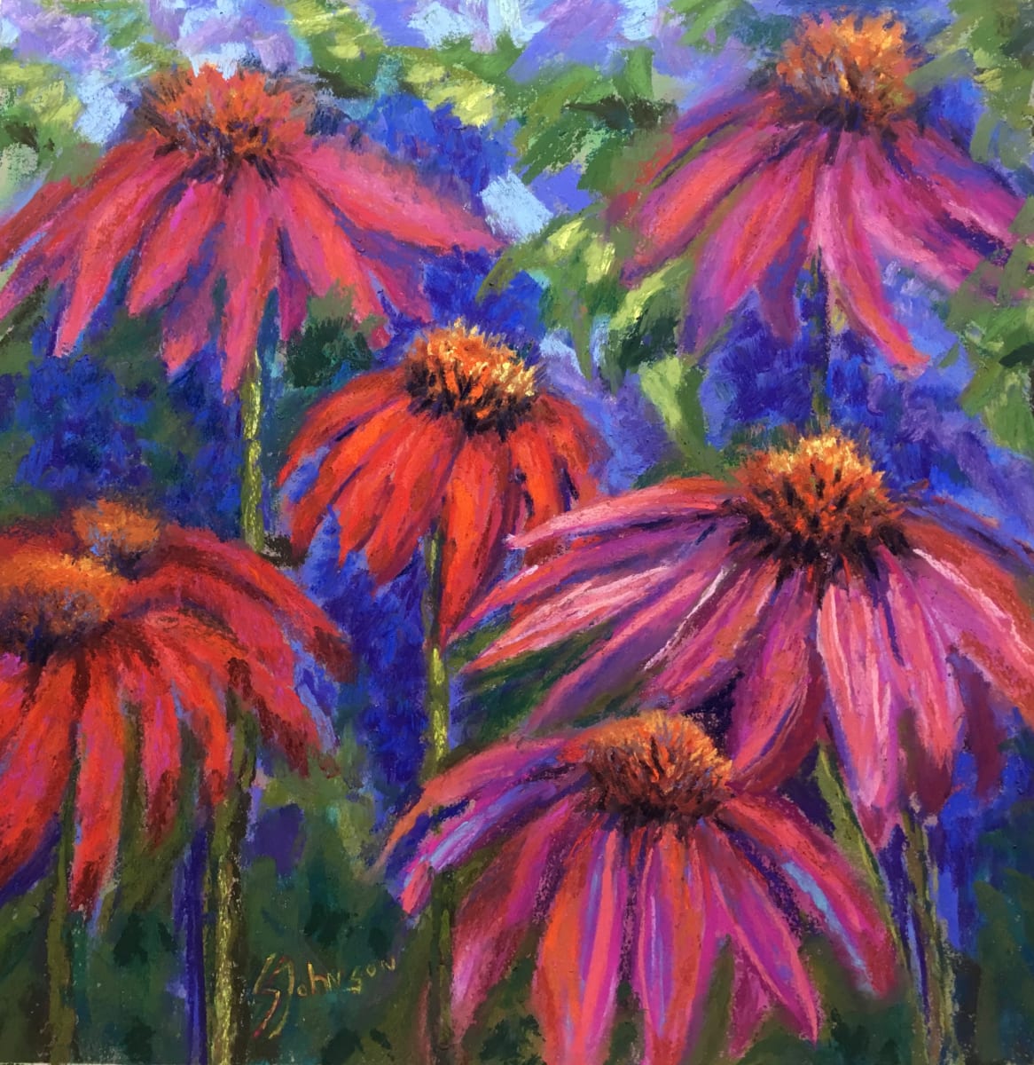 Cone Flowers by Susan  Frances Johnson 