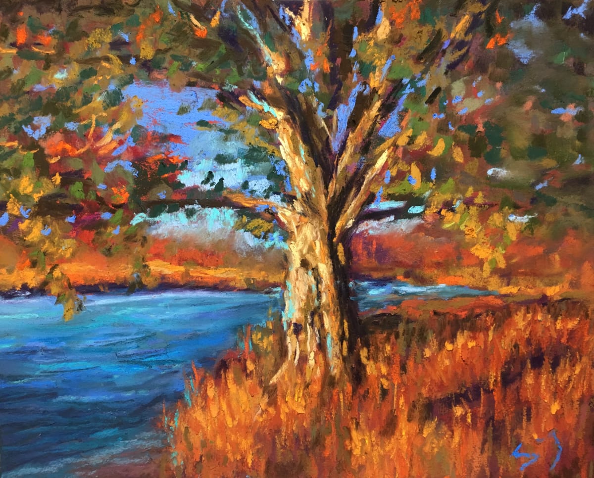 Autumn Trees, Image 1.