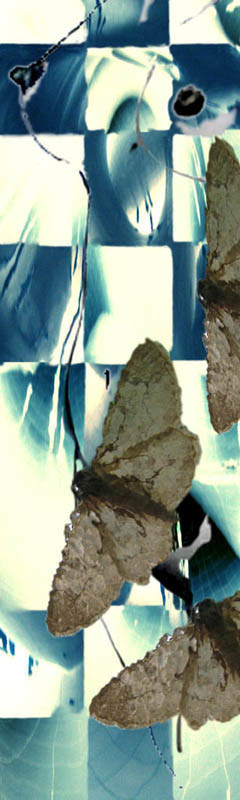 Chicago Blue by Tina Psoinos 