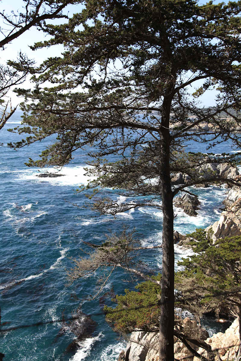 Big Sur by Tina Psoinos, Image 1.
