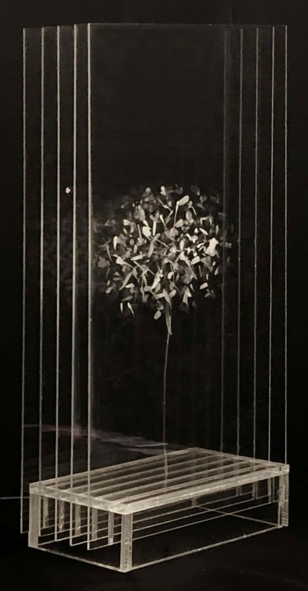 Dandelion 1 sculpture by Tina Psoinos 