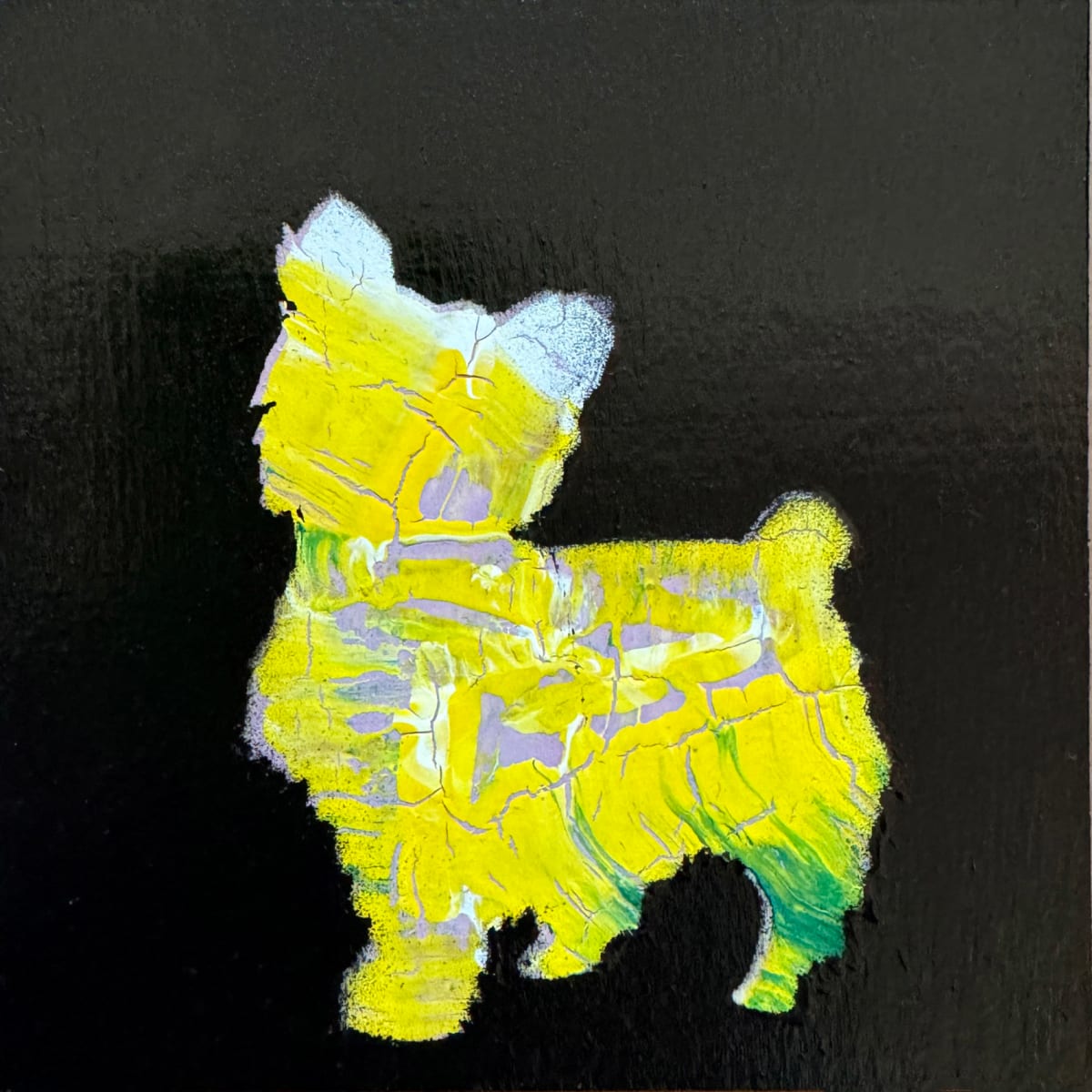 Dogs by Tina Psoinos  Image: Yorkie Yellow