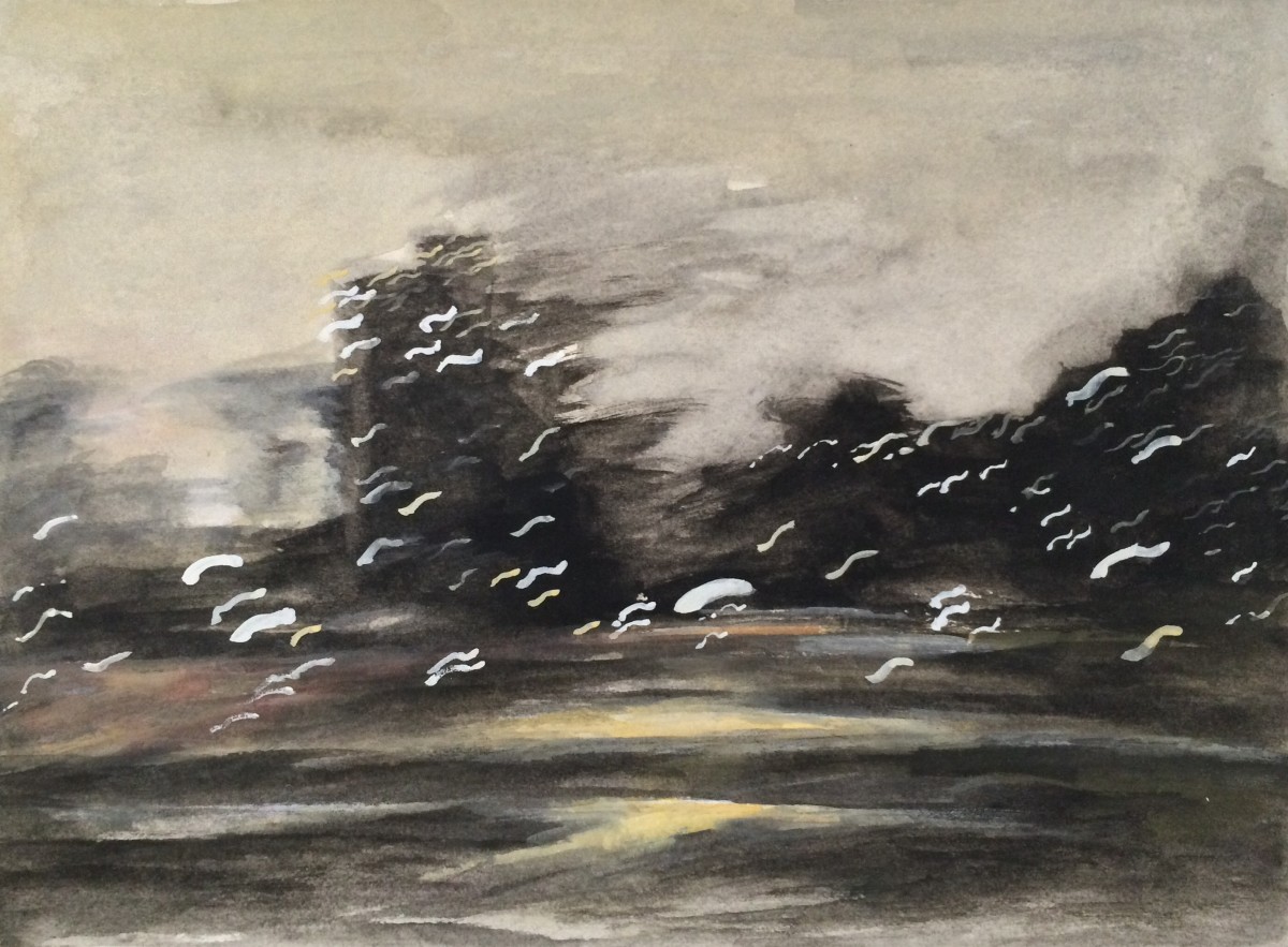 Dark Horse II by Jennifer Webster 