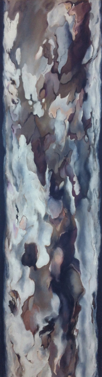 Sycamore by Jennifer Webster, Image 1.