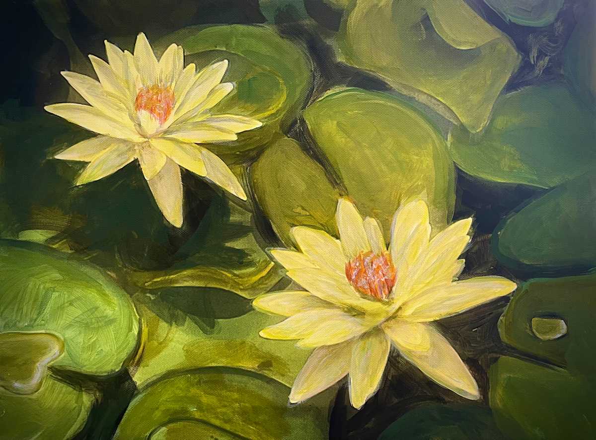 Two Yellow Water Lilies by Karen Elizabeth LeCocq 
