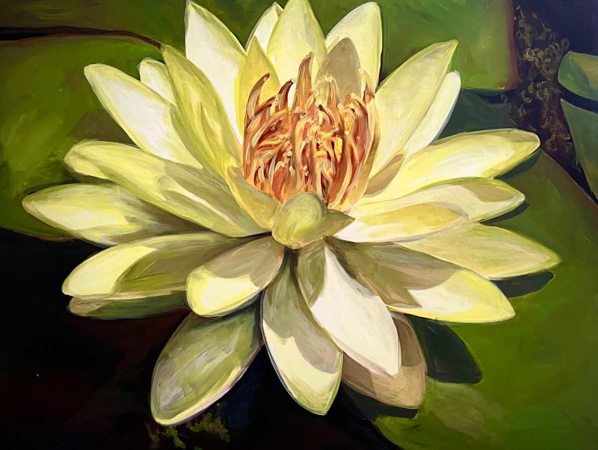 Gold Water Lily by Karen Elizabeth LeCocq 