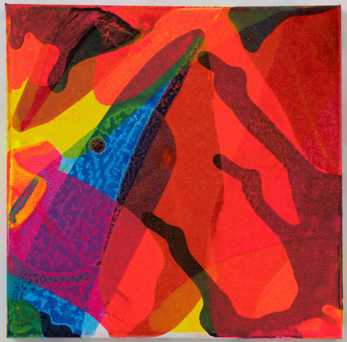 10.15.20 by Anne Labovitz 