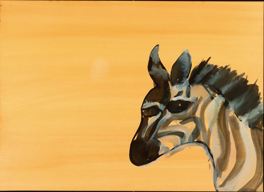 Zebra by Anne Labovitz, Image 1.