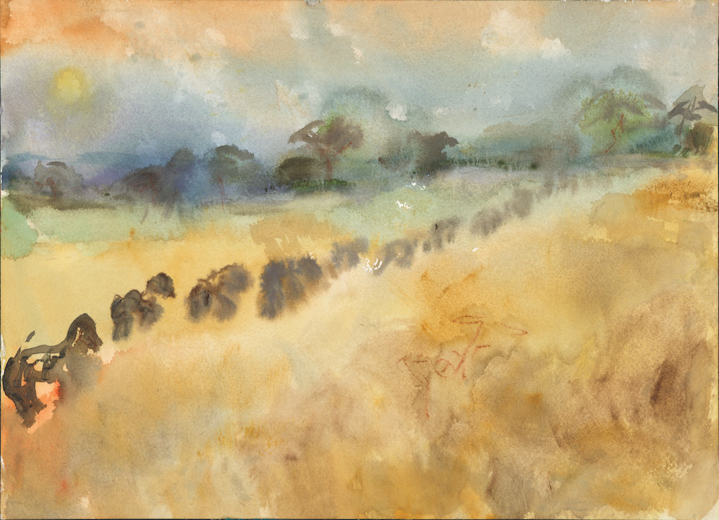 Landscape by Anne Labovitz 