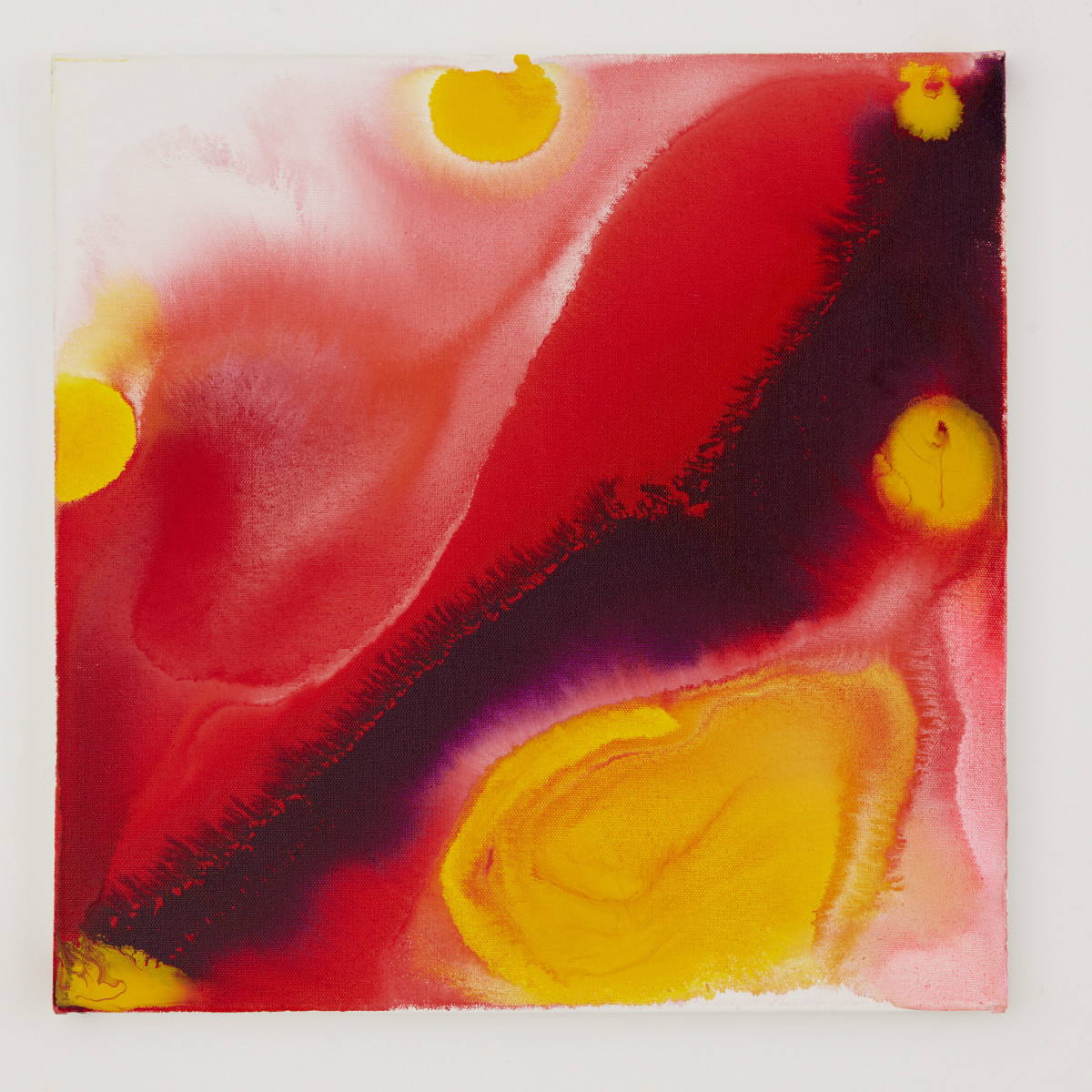 Violet Wash I by Anne Labovitz 