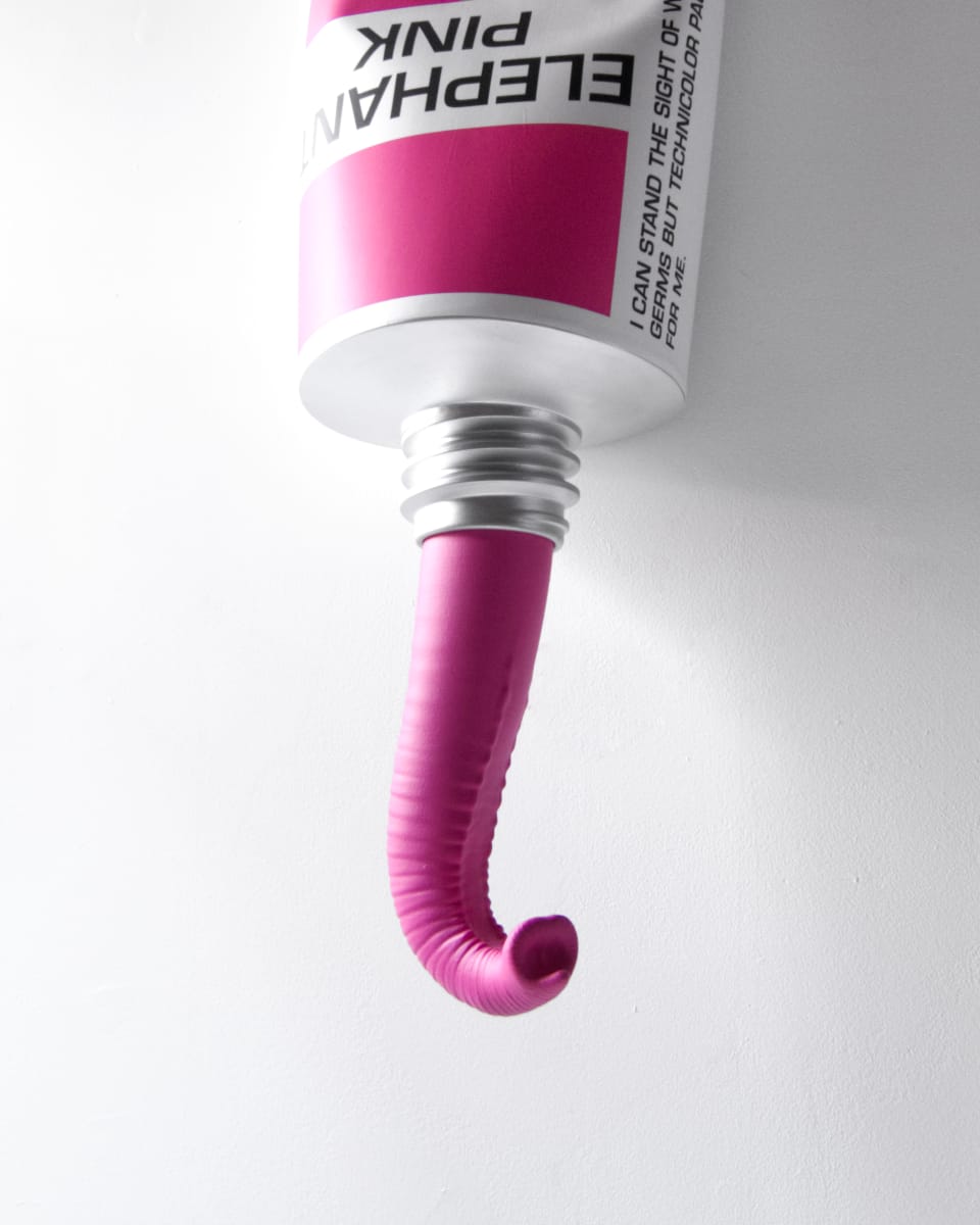 Elephant Pink by Miles Jaffe 