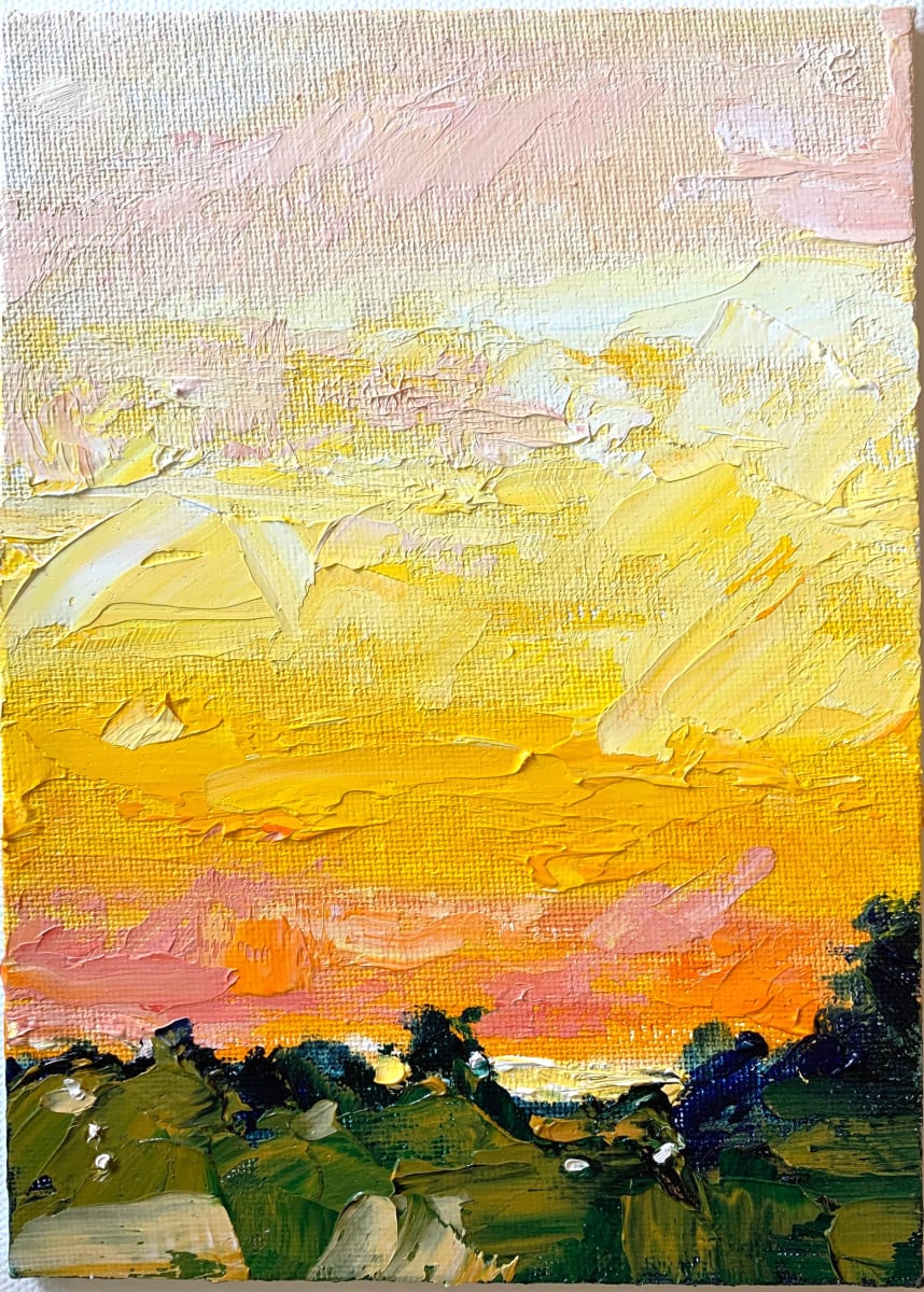 La Costa sunset by Marcia Hoeck 