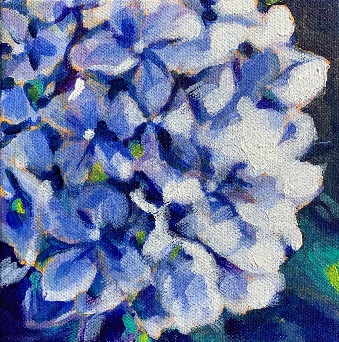Hydrangea series: Blue by Marcia Hoeck 