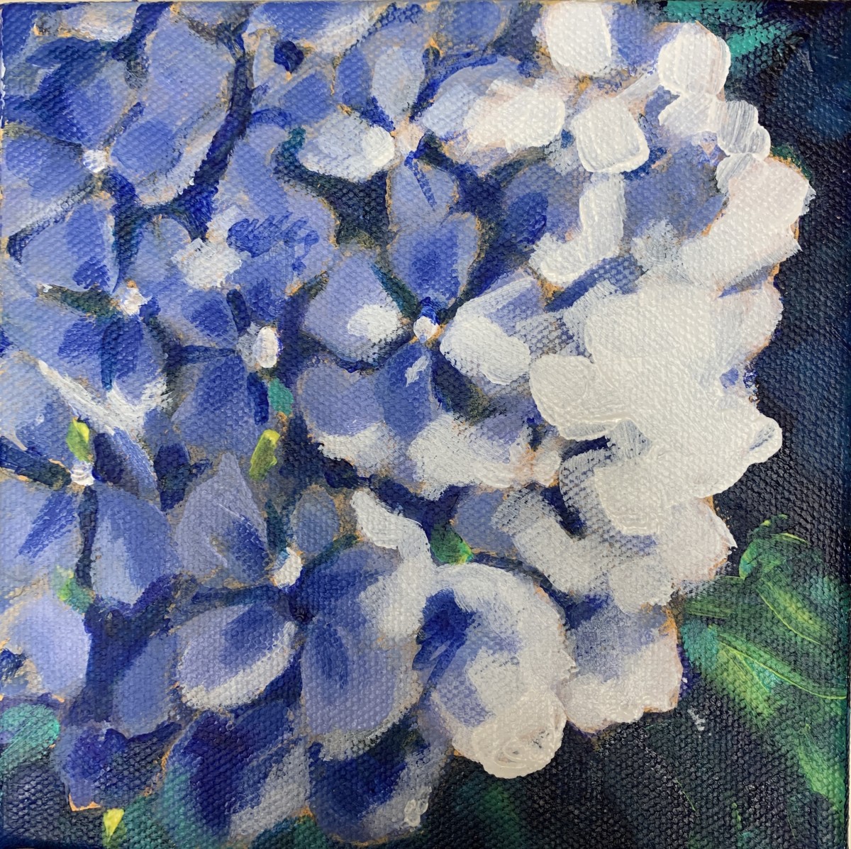 Hydrangea series: Blue too by Marcia Hoeck 