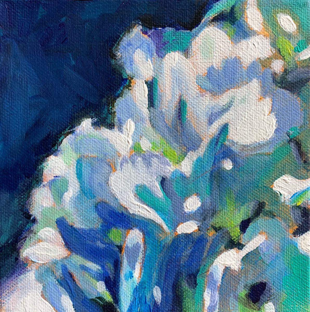 Hydrangea series: Glow by Marcia Hoeck 