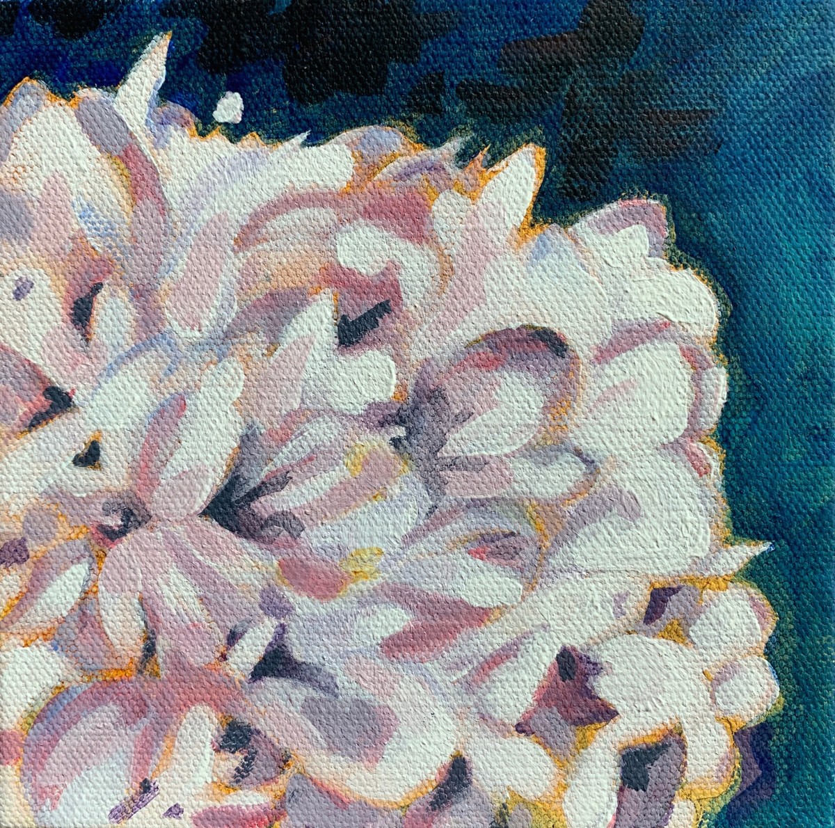 Hydrangea series: Pink by Marcia Hoeck 