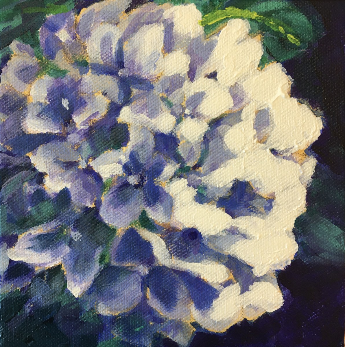 Lynn's hydrangeas 2 by Marcia Hoeck 