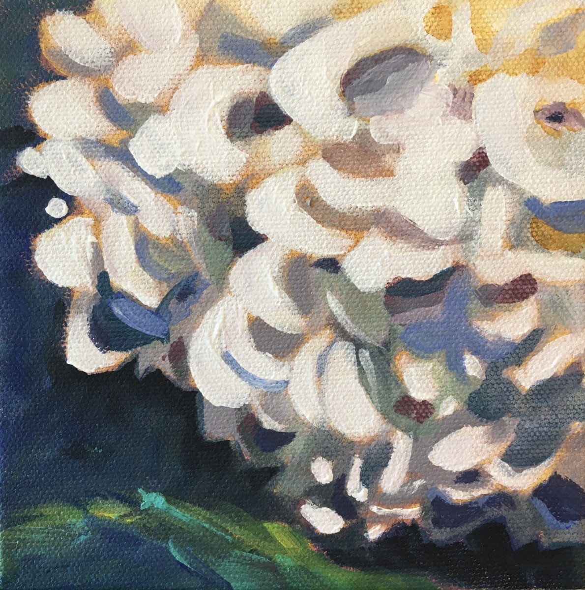 Lynn's hydrangeas 3 by Marcia Hoeck, Image 1.
