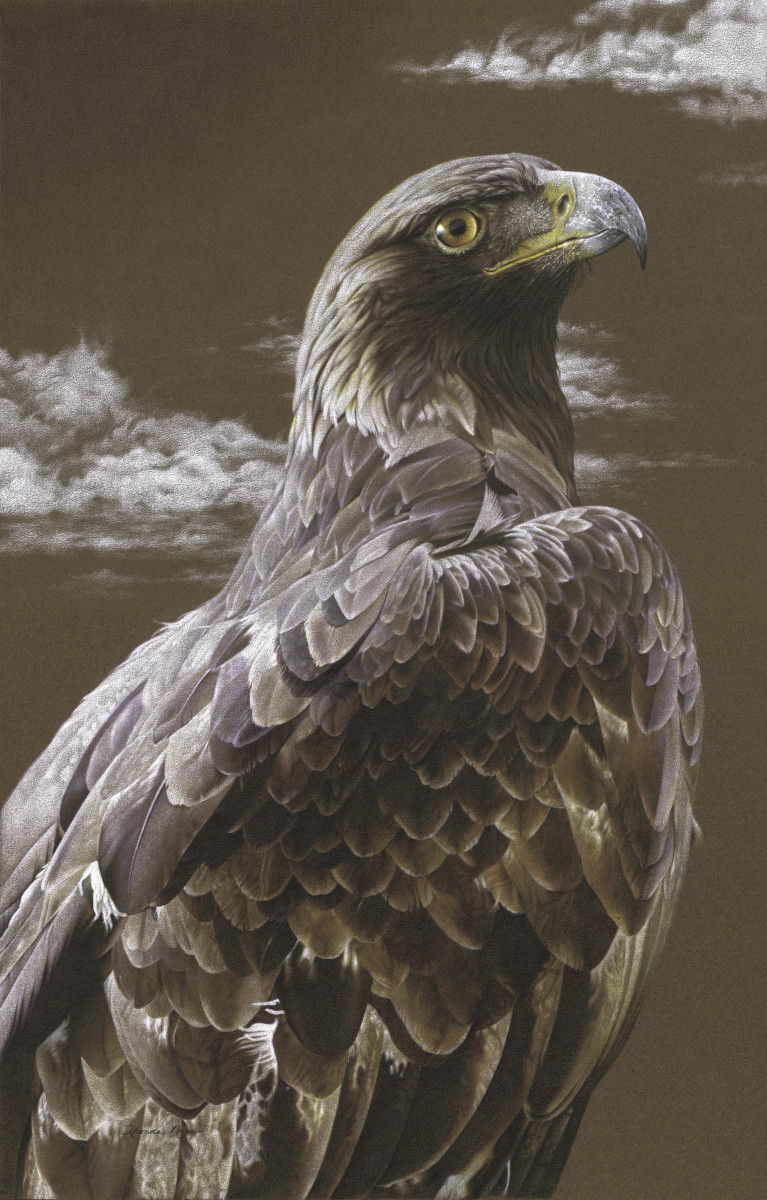 Golden Eagle Majesty 2 by Rhonda Nass 