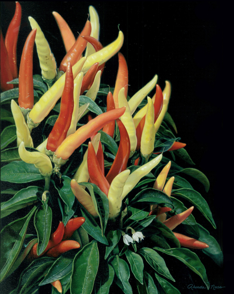 "Ornamental Pepper" by Rhonda Nass 