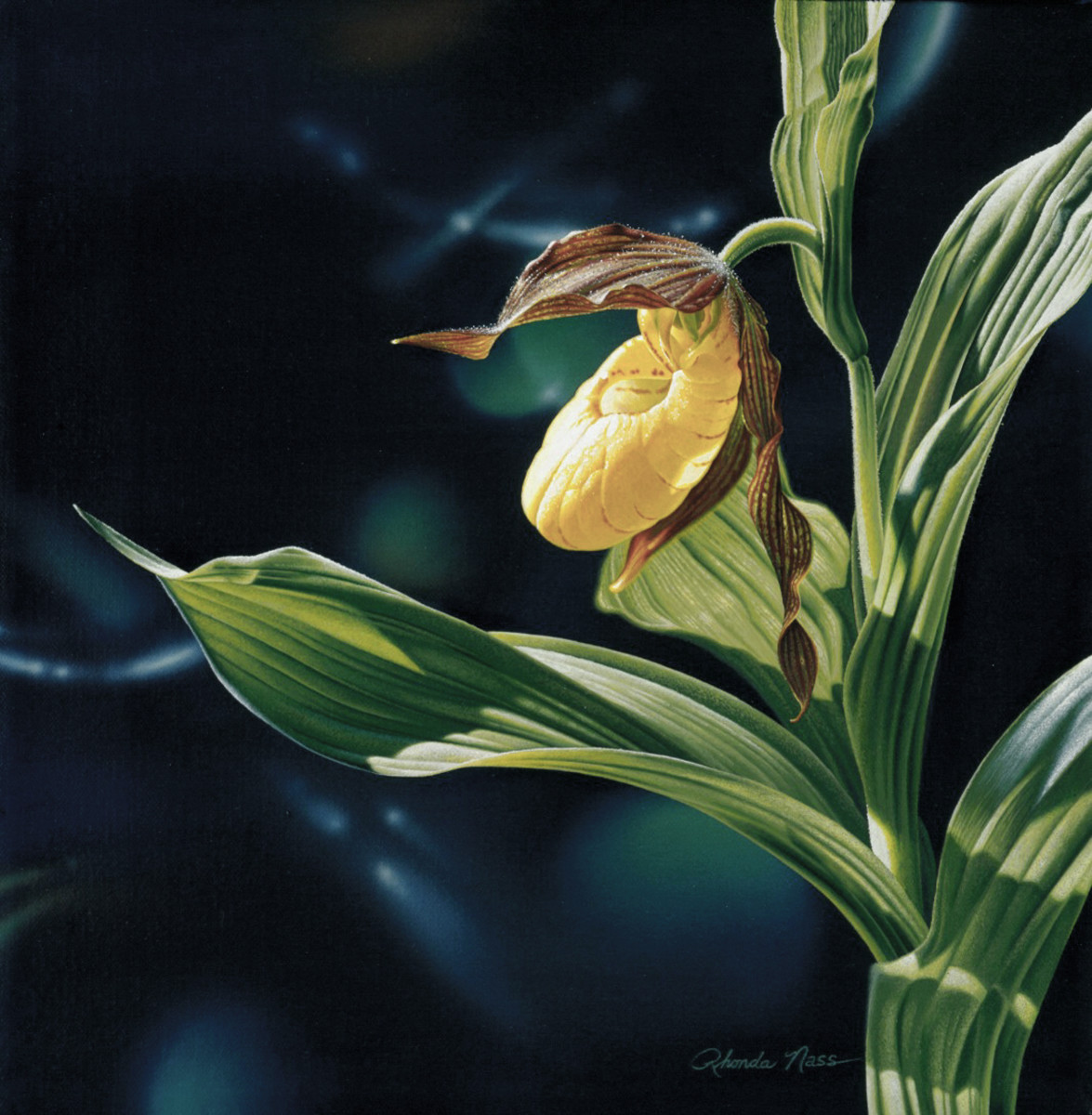 "This Slipper Fits" by Rhonda Nass 