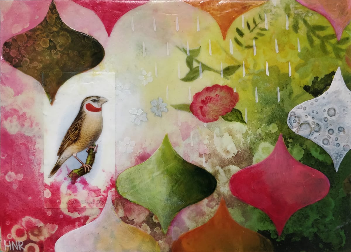 Cut-throat Finch by Heather Robinson, Image 1.