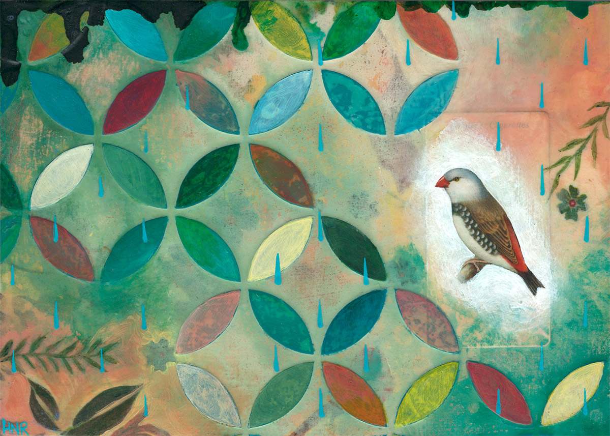 Diamond Finch by Heather Robinson, Image 1.