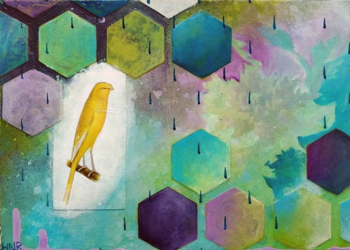 Lancashire Canary by Heather Robinson 