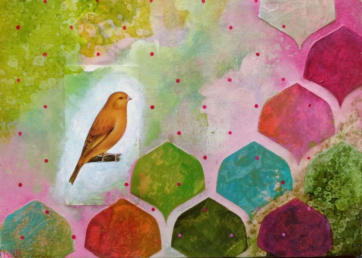 Yellow Cinnamon Canary, Image 1.