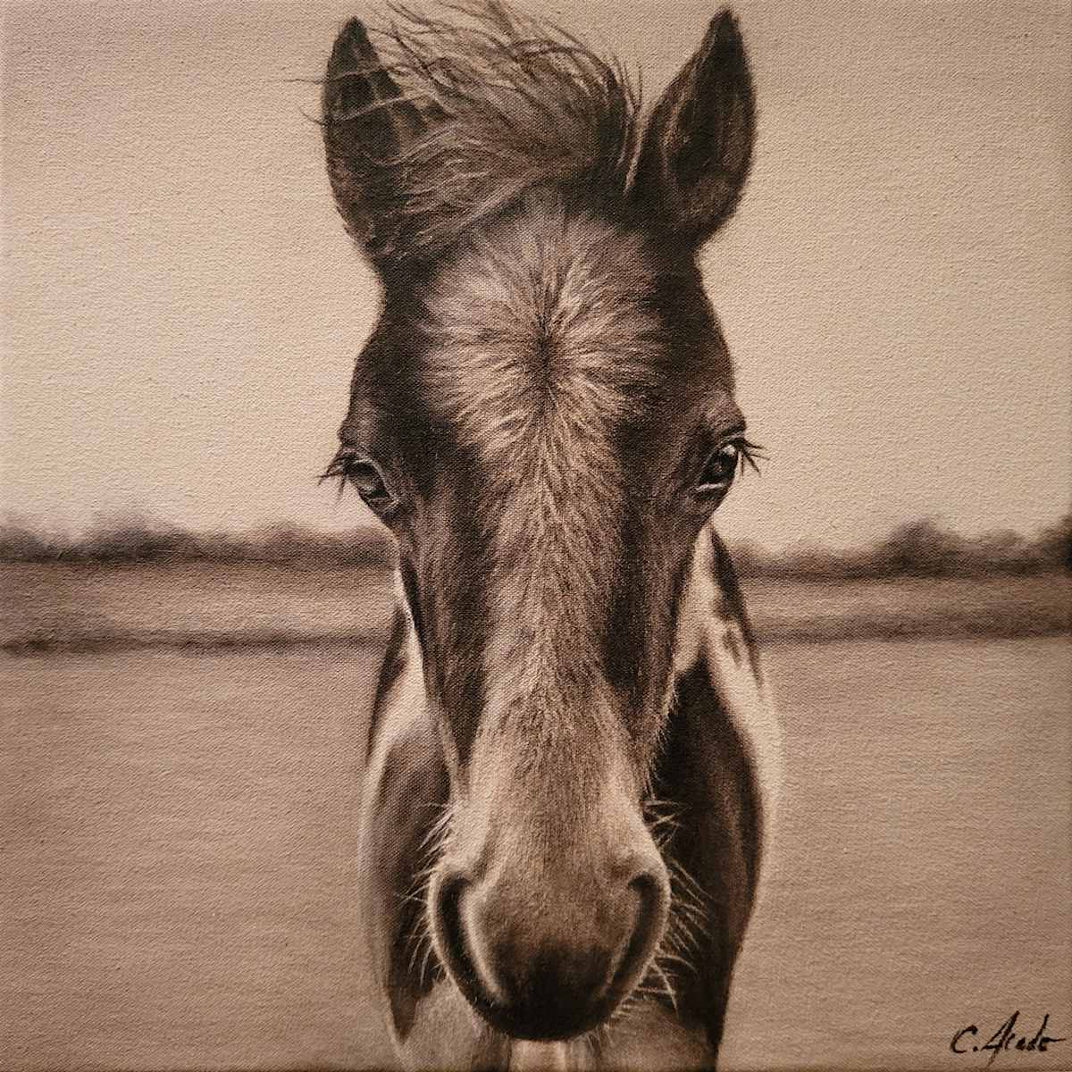 Bucky by Carol L. Acedo 