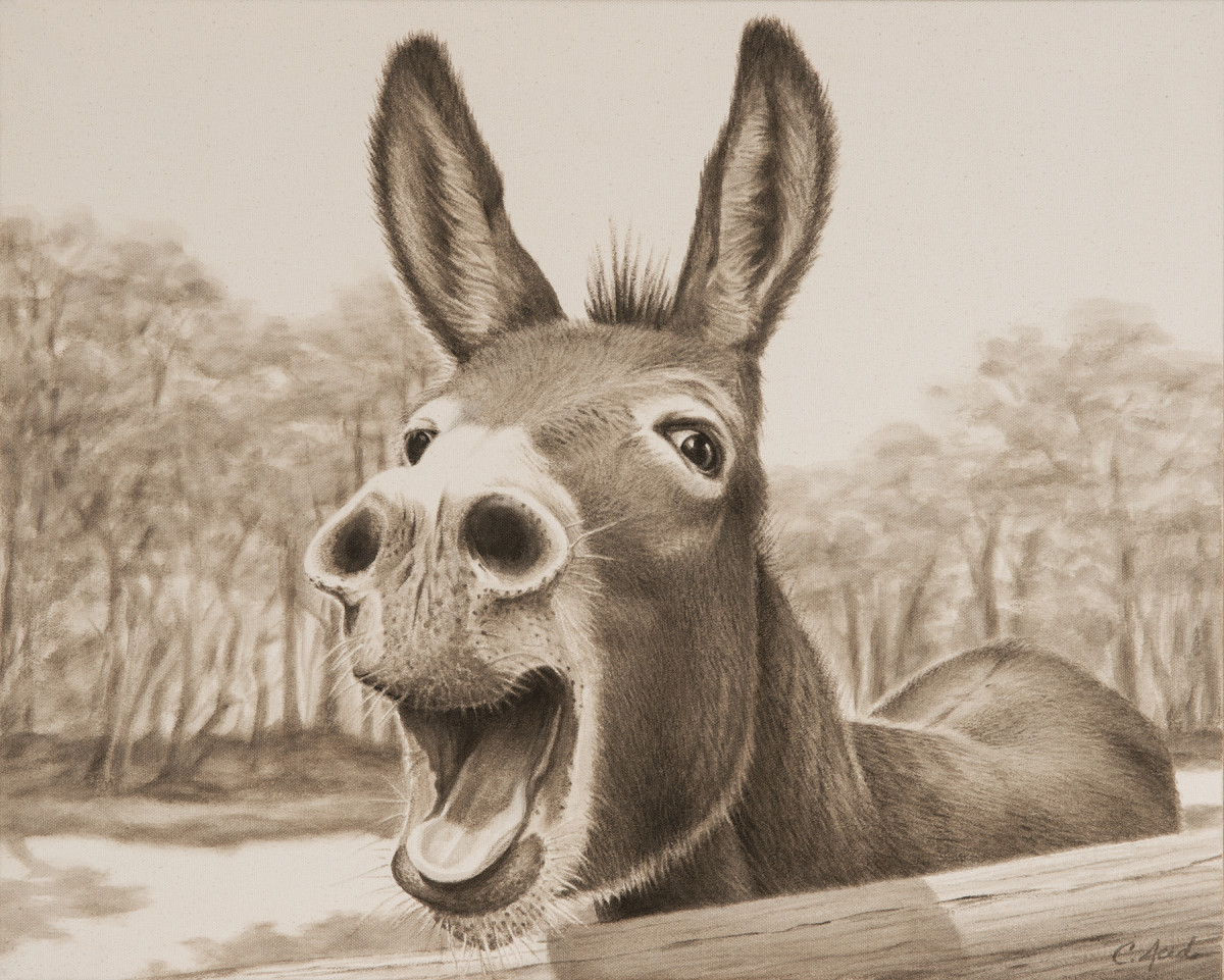 Donkey Hotey by Carol L. Acedo 