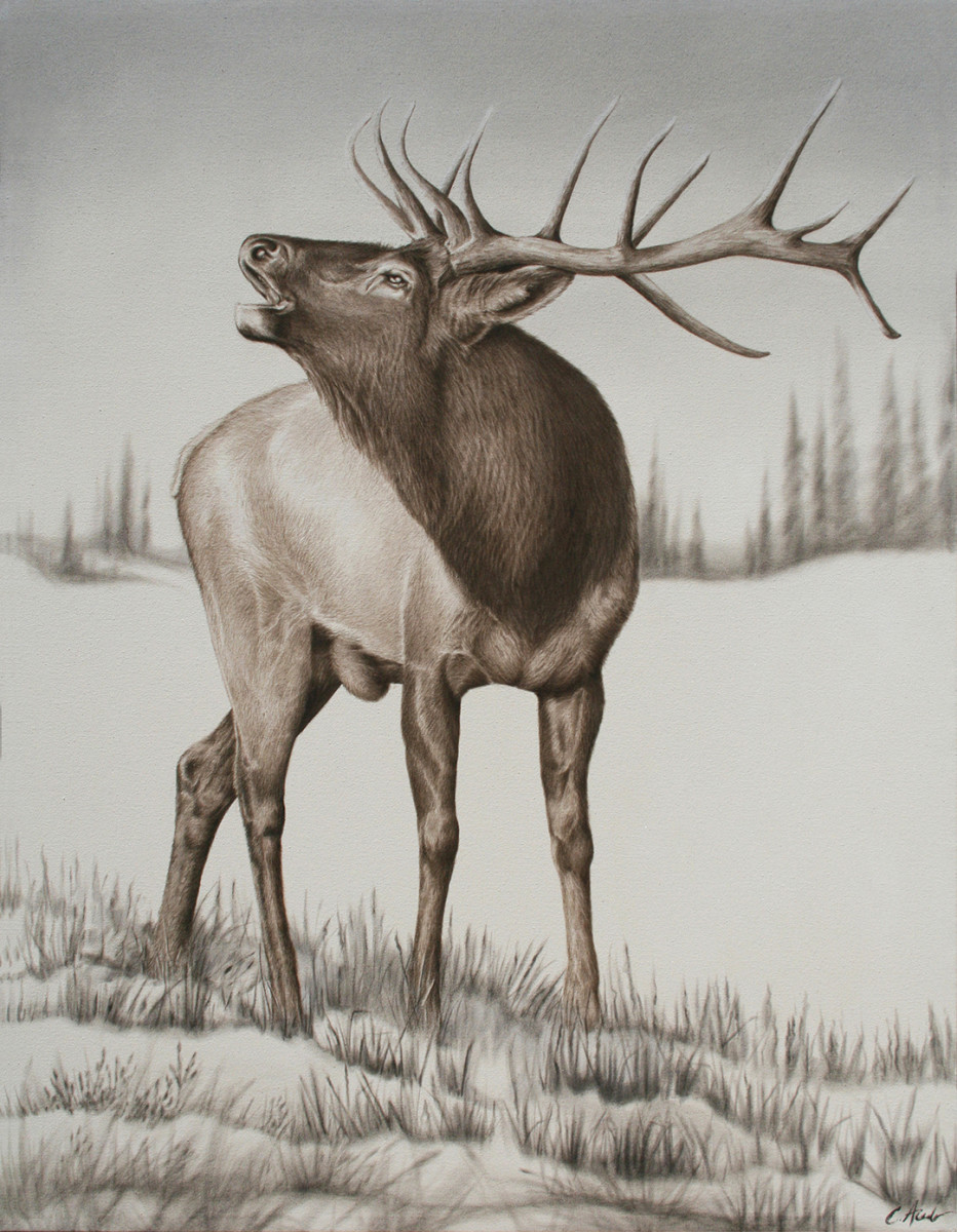 Winter Serenade by Carol L. Acedo 