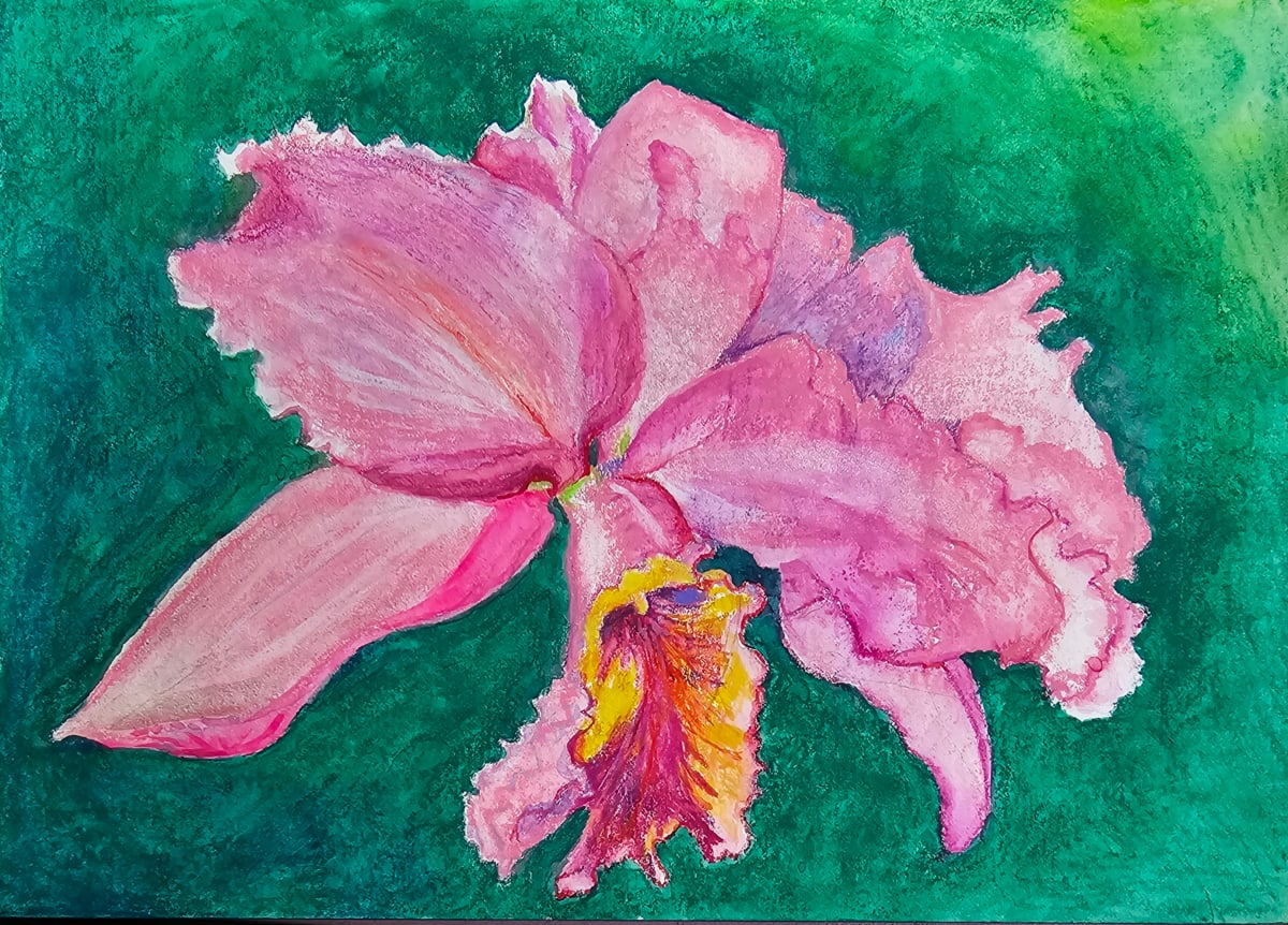 Orchid by Debi Slowey-Raguso  Image: Orchid, 2024. Watercolor, 9 x 11 inches