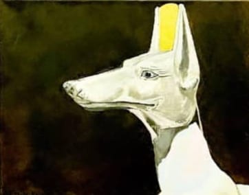 Egyptian Hound 