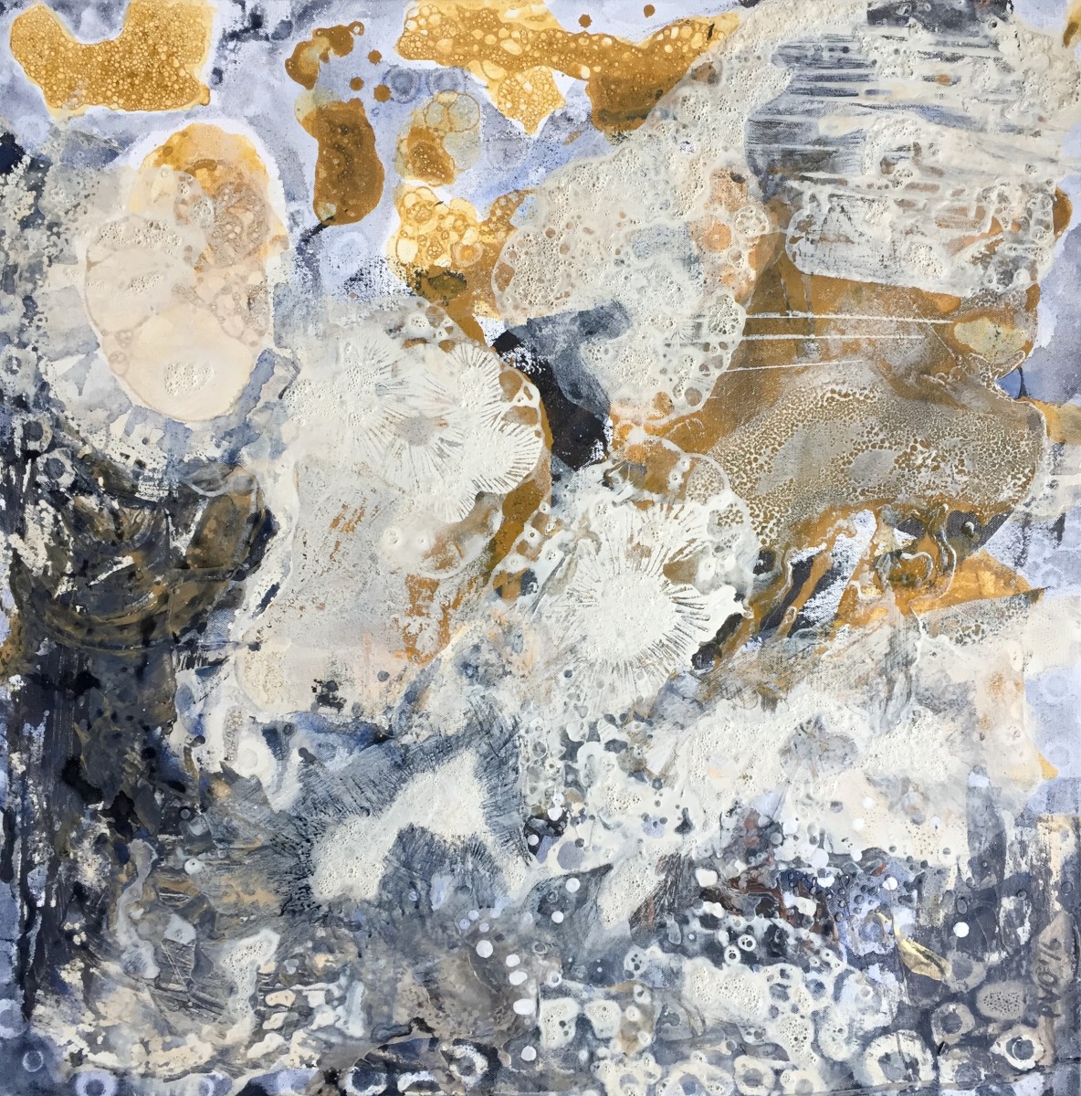 Microcosmic by Paula Valenzuela 