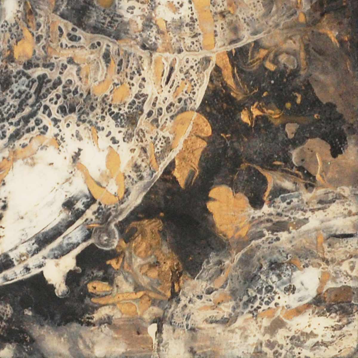 Golden Space by Paula Valenzuela, Image 3.