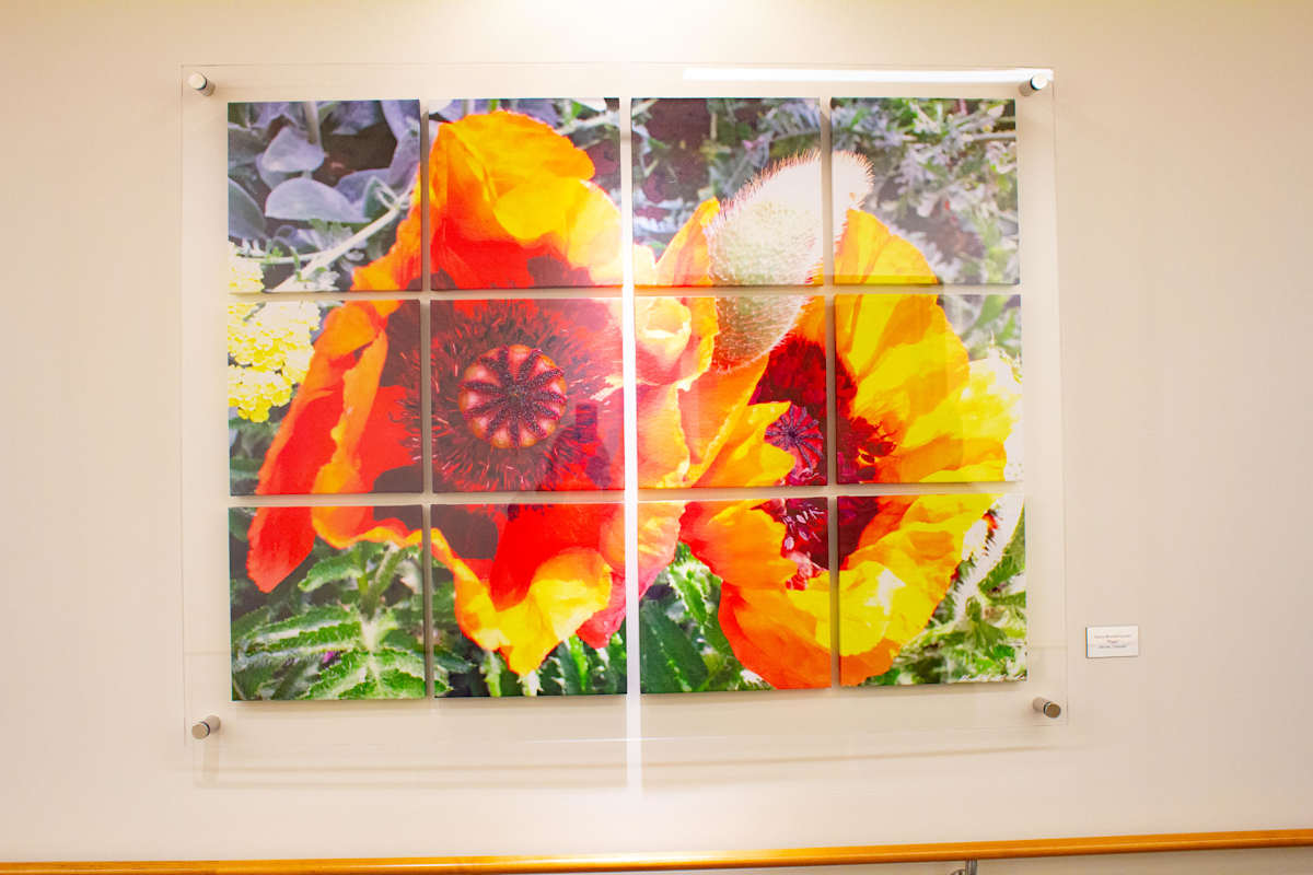 Poppy by Kathy Mitchell-Garton, Image 1.